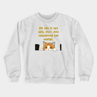 My cat is not lazy, she's just conserving her energy. Crewneck Sweatshirt